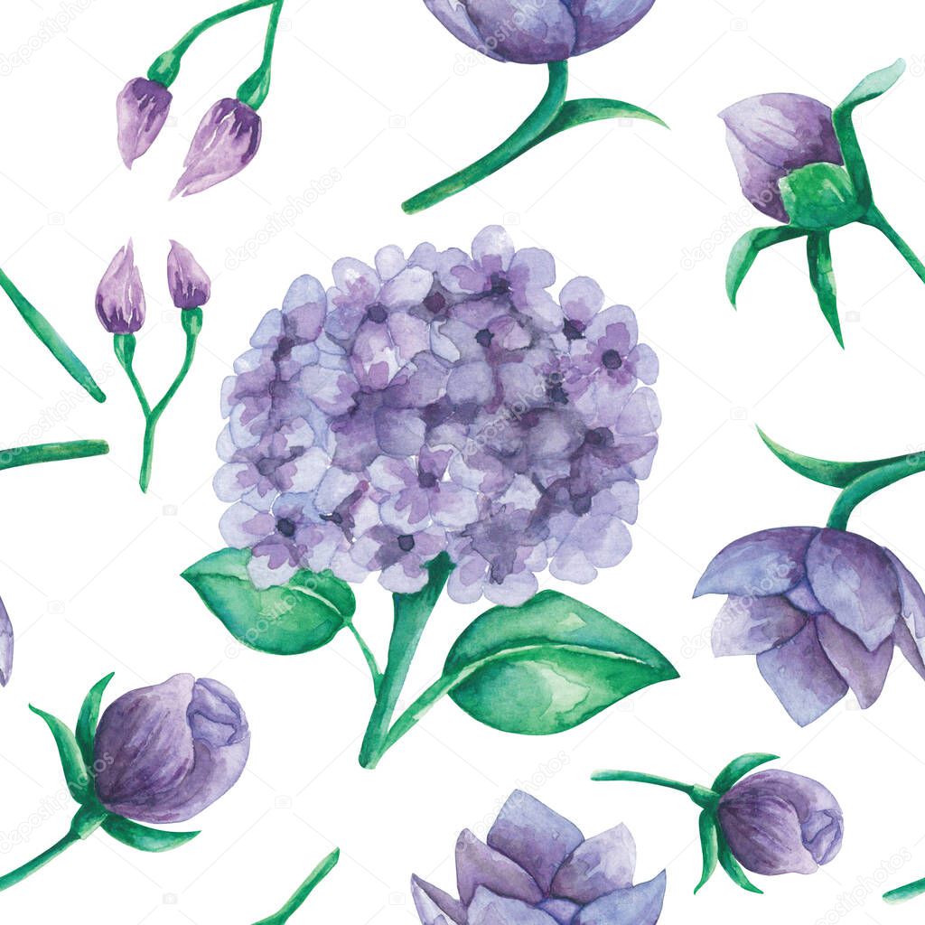 Hydrangea-flower-and-leaves-pattern-hand-painted-watercolor-illustration-with-white-background