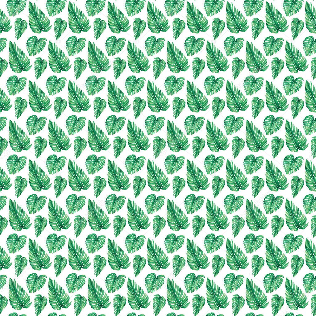 monstera-leaves-watercolor-illustration-pattern-tropical-summer-white-background