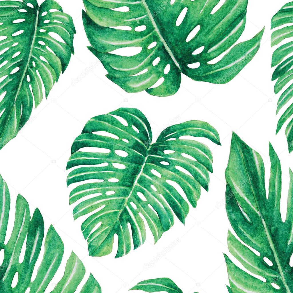 monstera-leaves-watercolor-illustration-seamless-pattern-tropical-summer-white-background