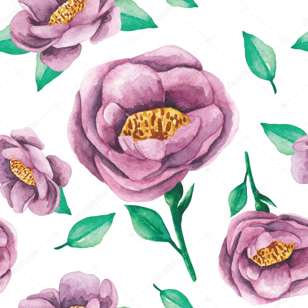 Rose-flower-and-leaves-pattern-hand-painted-watercolor-illustration-with-white-background