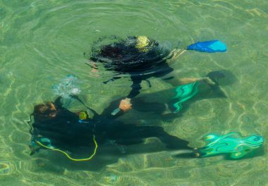 Tüplü dalış eğitim kursu