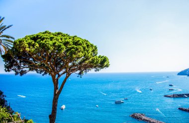 Ravello Amalfi sahili. Yeşil sedir tacı ve Tyrhenian denizi üzerinde panoramik deniz manzarası..