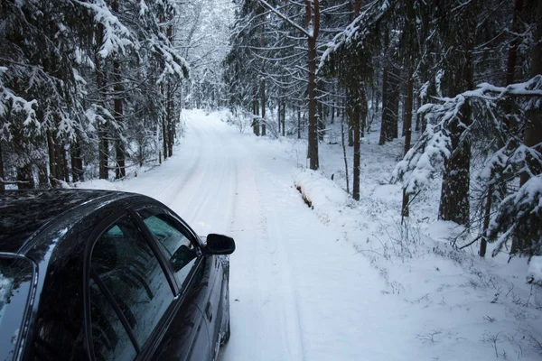 Guida foresta invernale — Foto Stock