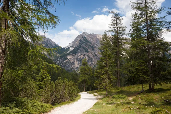 Túraútvonal az Alpokban Olaszország — Stock Fotó