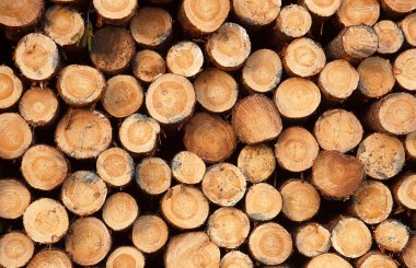 Günlük yığınları