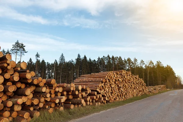 Högen med stockar — Stockfoto