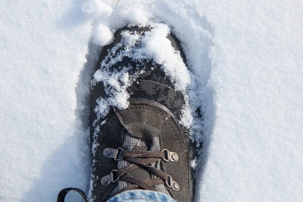 Hiking boot in snow — Stock Photo, Image