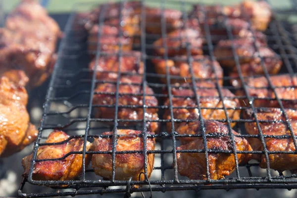 Barbecue-grill z mięsem — Zdjęcie stockowe