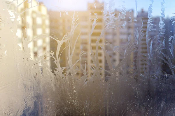 Заморожене зимове вікно з блискучою текстурою морозу — стокове фото