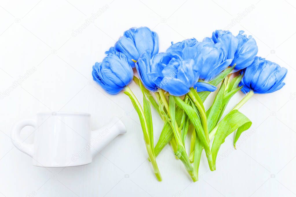 Bouquet of fresh tulips flowers colored in trendy color of year 2020 Classic Blue on white background. Bright Macro color 19-4052. Flat lay top view copy space