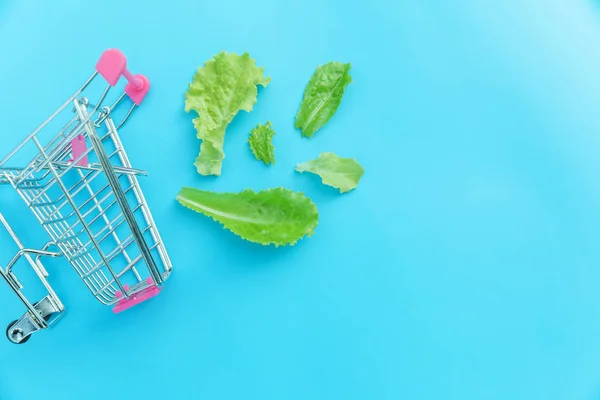 Small supermarket grocery push cart for shopping with green lettuce leaves isolated on blue pastel colorful background