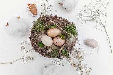 Paskalya yortusu yumurta yuvada rustik ahşap plakalar üzerinde