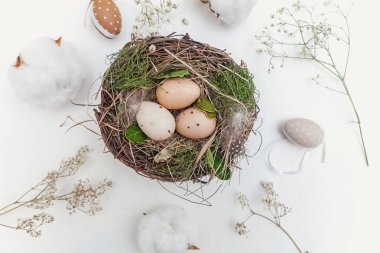 Paskalya yortusu yumurta yuvada rustik ahşap plakalar üzerinde