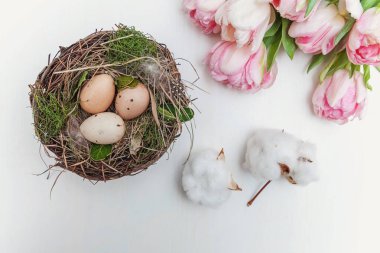 Yuvasında paskalya yumurtaları, yosun pamuğu ve pembe taze lale butiği.