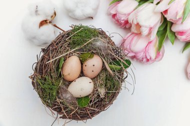 Yuvasında paskalya yumurtaları, yosun pamuğu ve pembe taze lale butiği.