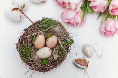 Yuvasında paskalya yumurtaları, yosun pamuğu ve pembe taze lale butiği.