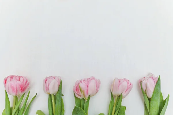 Аромат свежих розовых тюльпанов на деревенской белой деревянной спине — стоковое фото