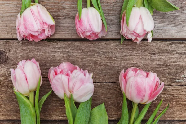 Bouquet of fresh pink tulips flowers on rustic white wooden back — 스톡 사진