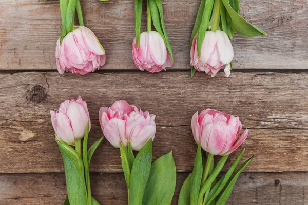 Bouquet de fleurs de tulipes roses fraîches sur fond bois blanc rustique — Photo