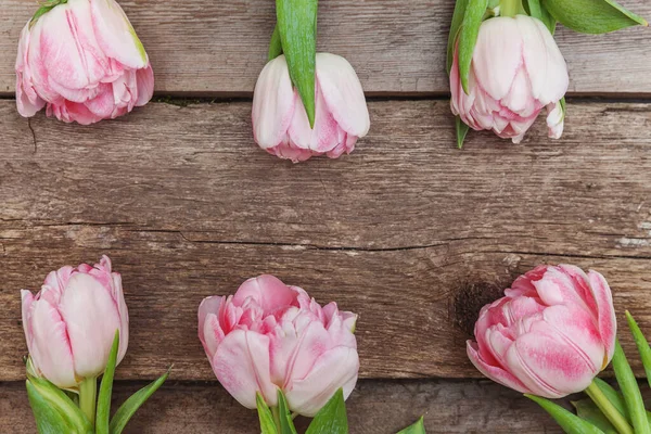 Bouquet of fresh pink tulips flowers on rustic white wooden back — 스톡 사진
