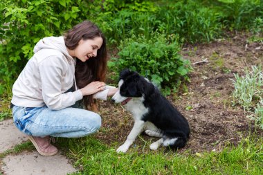 Gülümseyen genç çekici kadın yaz şehir parkı açık arka planda sevimli köpek yavrusu sınır collie sarılma kucaklayan
