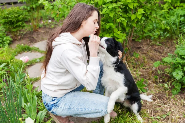 Sonriendo joven atractiva mujer abrazando abrazo lindo cachorro perro frontera collie en verano ciudad parque al aire libre fondo — Foto de Stock