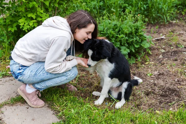 Glimlachend jong aantrekkelijk vrouw omarmen huging cute puppy hond Border Collie in zomer stadspark buiten achtergrond — Stockfoto