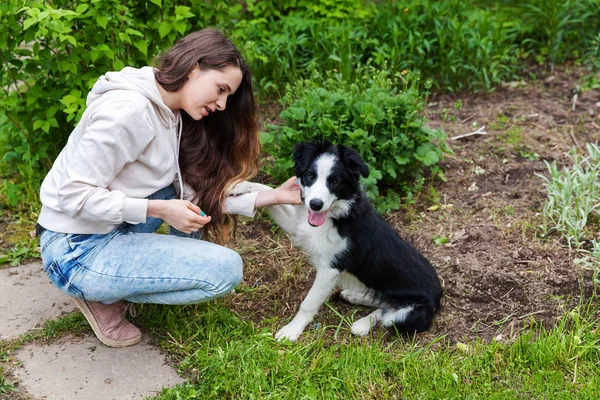 Glimlachend jong aantrekkelijk vrouw omarmen huging cute puppy hond Border Collie in zomer stadspark buiten achtergrond — Stockfoto