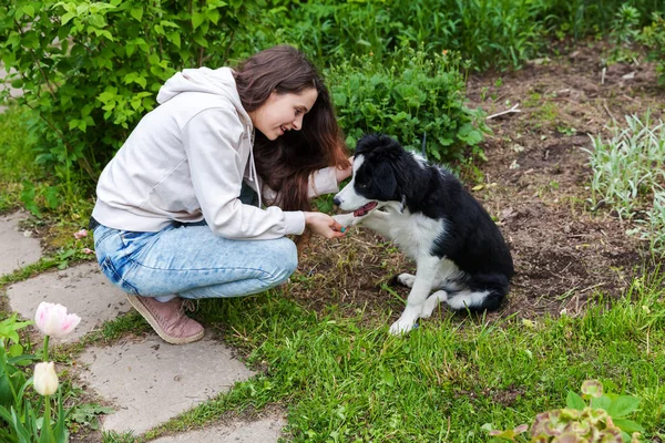 Sonriendo joven atractiva mujer abrazando abrazo lindo cachorro perro frontera collie en verano ciudad parque al aire libre fondo — Foto de Stock