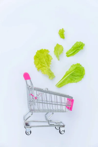 Kleiner Supermarkt-Einkaufswagen zum Einkaufen mit grünen Salatblättern isoliert auf weißem Hintergrund — Stockfoto