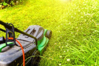 Bahçede çim biçme makinesiyle çim biçen bir adam. Bahçe işleri kırsal yaşam tarzı. Güneş ışığında taze yeşil çimlerin manzarası baharda ya da yaz mevsiminde bahçe manzarası.