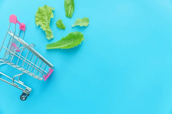 Ecology eco products health food vegan vegetarian concept . Small supermarket grocery push cart for shopping with green lettuce leaves isolated on blue pastel colorful background. Copy space.
