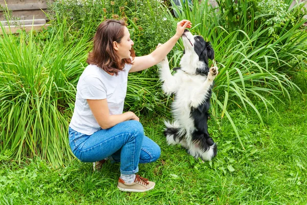 Sonriente joven atractiva mujer jugando con lindo perro perro frontera collie en el jardín de verano o parque de la ciudad fondo al aire libre. Chica truco de entrenamiento con amigo perro. Cuidado de mascotas y concepto de animales. — Foto de Stock