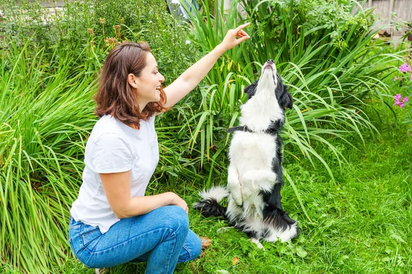 Lachende jonge aantrekkelijke vrouw spelen met schattige puppy hond grens collie in de zomer tuin of stadspark outdoor achtergrond. Meisje training truc met hond vriend. Dierenverzorging en dierenwelzijn. — Stockfoto