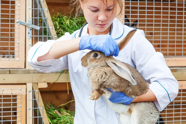 Glad ung veterinär kvinna med stetoskop innehav och undersöka kanin på ranch bakgrund. Bunny i veterinären händer för kontroll i naturliga eko gård. Djurskötsel och ekologiskt jordbruk. — Stockfoto