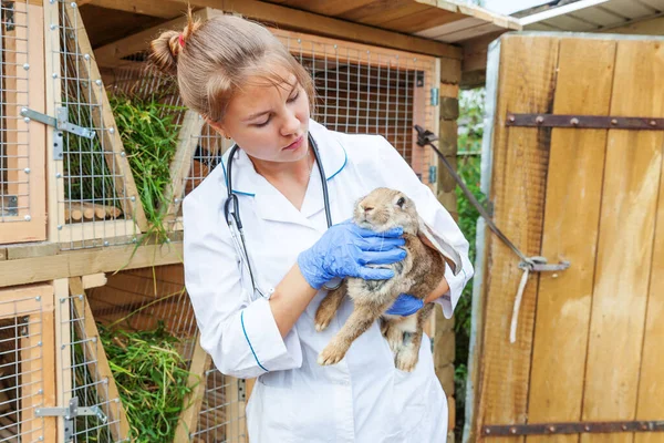 Happy young veterinarian woman with stethoscope holding and examining rabbit on ranch background. Bunny in vet hands for check up in natural eco farm. Animal care and ecological farming concept