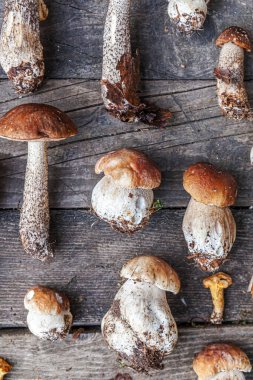 Ahşap koyu rustik masa arka plan üzerinde Çeşitli çiğ yenilebilir mantar Penny Bun Boletus leccinum