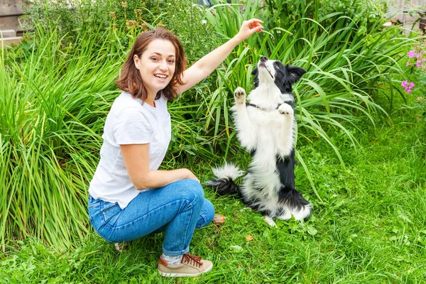 Sonriente Joven Atractiva Mujer Jugando Con Lindo Perro Perro Frontera — Foto de Stock
