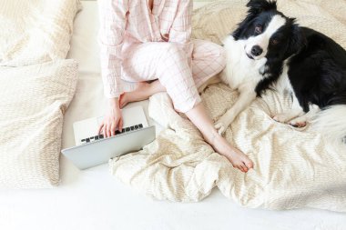 Mobil Ofis evde. Evcil köpekle pijamalı genç bir kadın evdeki bilgisayarda çalışıyor. Yaşam tarzı kızı içeride ders çalışıyor. Serbest ticaret karantina kavramı