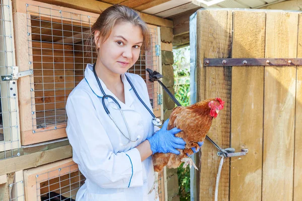 Glad Ung Veterinär Kvinna Med Stetoskop Innehav Och Undersöka Kyckling — Stockfoto