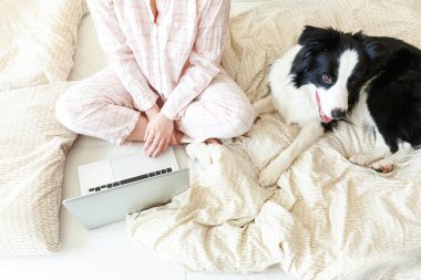 Mobil Ofis evde. Evcil köpekle pijamalı genç bir kadın evdeki bilgisayarda çalışıyor. Yaşam tarzı kızı içeride ders çalışıyor. Serbest ticaret karantina kavramı