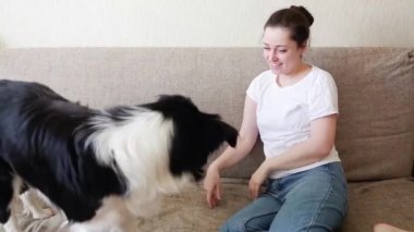 Evde kal. Kendine dikkat et. Gülümseyen genç ve çekici bir kadın evdeki kanepede sevimli köpek yavrusu çoban köpeğiyle oynuyor. Kız, ailenin yeni ve sevimli üyesini kucaklıyor. Hayvan bakımı hayvan hayatı karantina konsepti