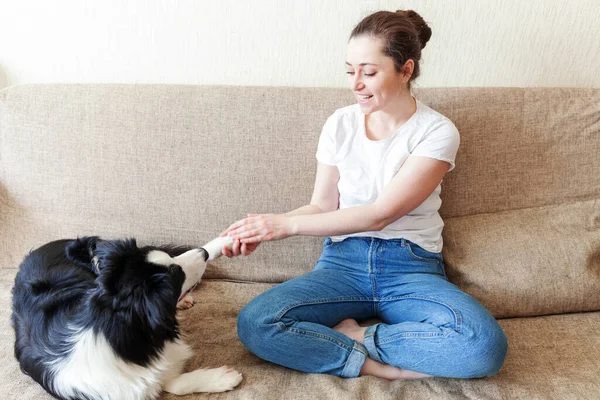 Stay Home Stay Safe. Smiling young attractive woman playing with cute puppy dog border collie on sofa at home indoors. Girl huging new lovely member of family. Pet care animal life quarantine concept
