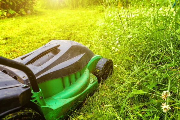 잔디깎는 기계로 잔디깎는 지방의 양식을 가꾸는 봄철이나 여름철 의정원 풍경의 — 스톡 사진