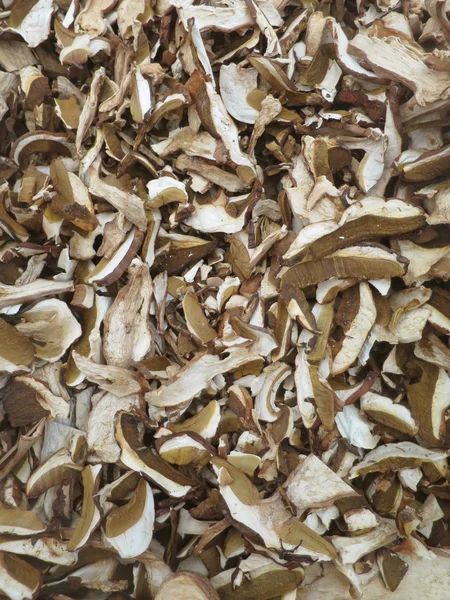 Dry porcini mushrooms — Stock Photo, Image