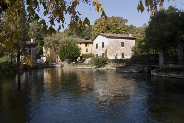 Torrente en pianura oasi —  Fotos de Stock