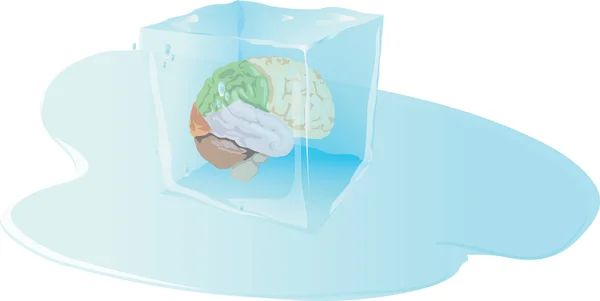 Congelación cerebral, cubo de hielo con el interior del cerebro humano — Vector de stock