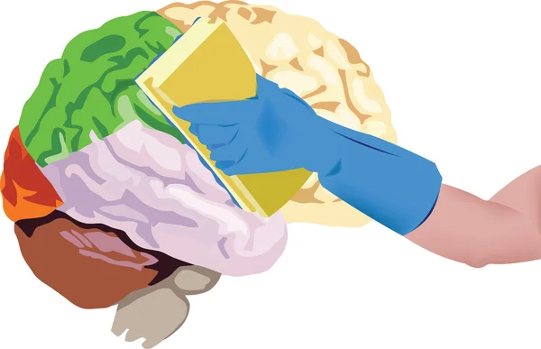 Очистить мозг — стоковый вектор