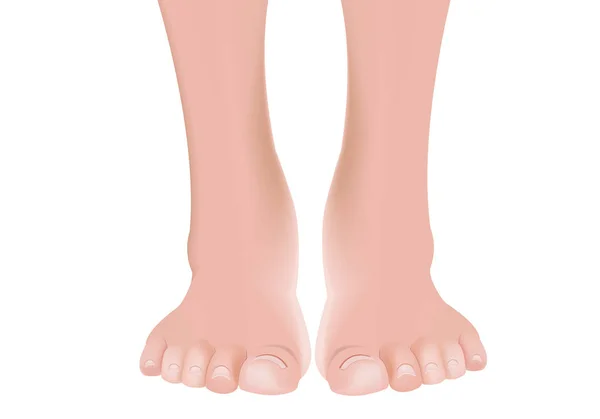 Gepflegter nackter menschlicher Fuß — Stockvektor