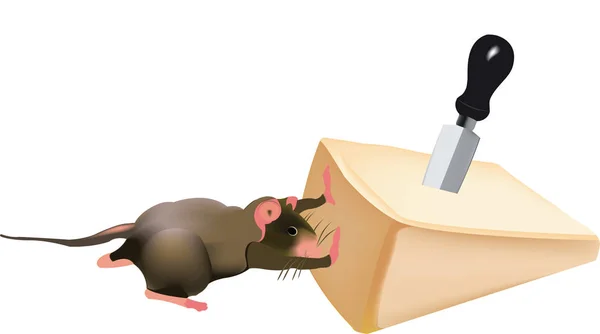 鼠标推巴马 — 图库矢量图片